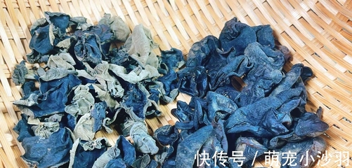 别再用水直接泡！加一勺白色粉末，木耳干净又快又好，虫子跑光光